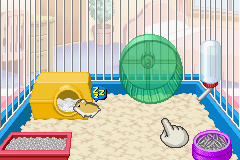 Hamster Club 3 (Japan) Cover